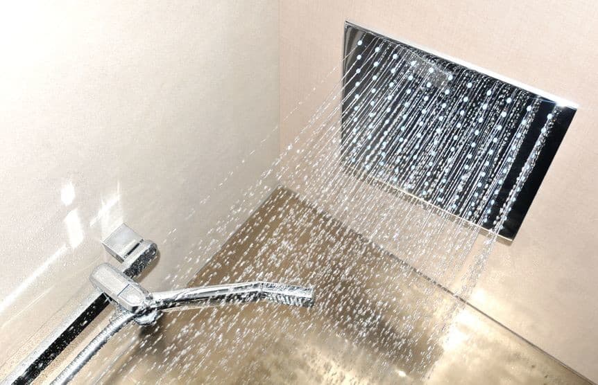 What is a dual shower head ?