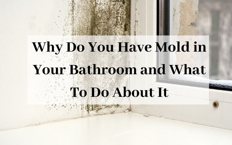 Why Do You Have Mold in Your Bathroom and What To Do About It